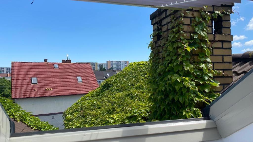 Apartamenty Forest&Sea سفينويتشي الغرفة الصورة