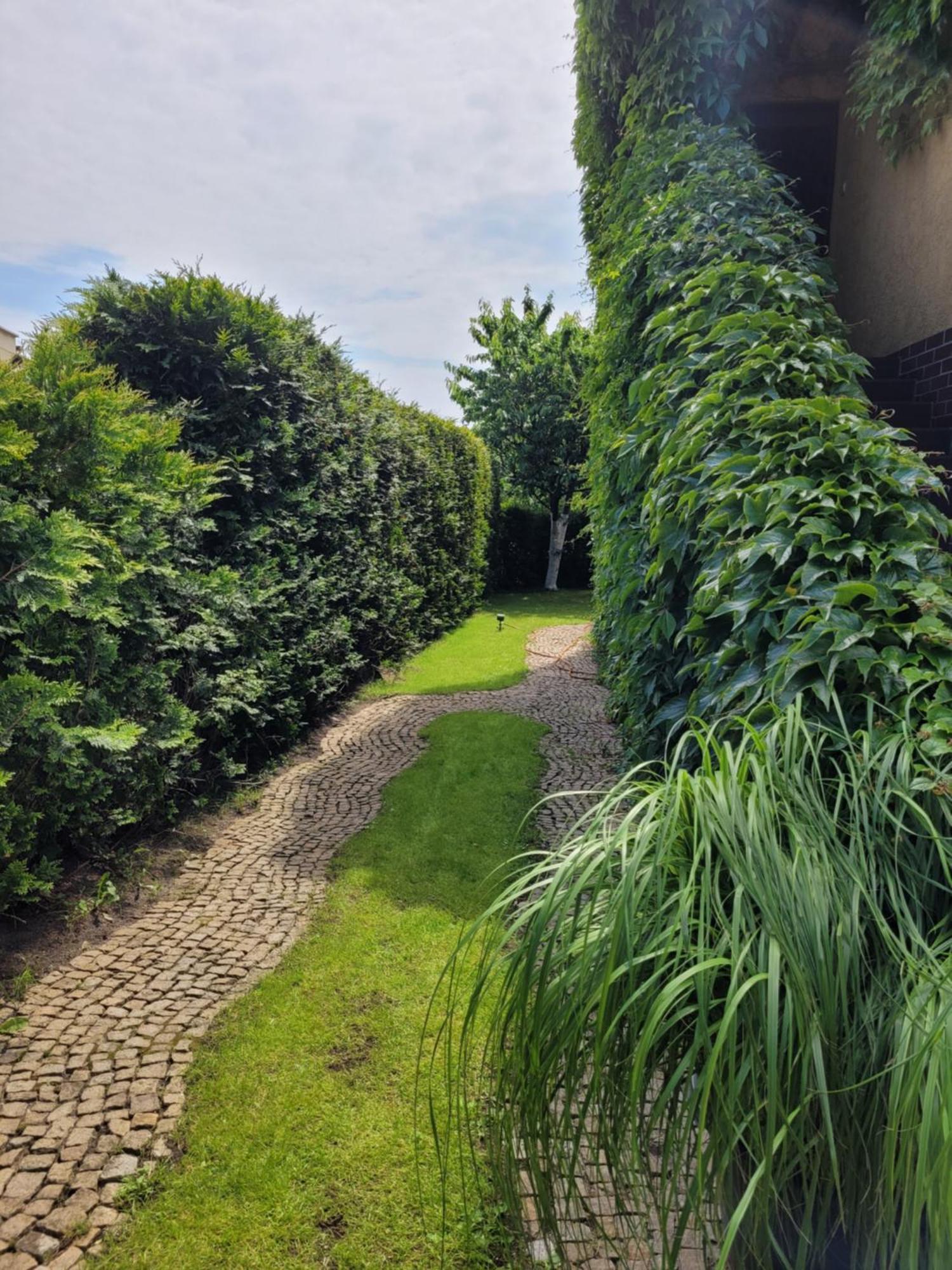 Apartamenty Forest&Sea سفينويتشي الغرفة الصورة