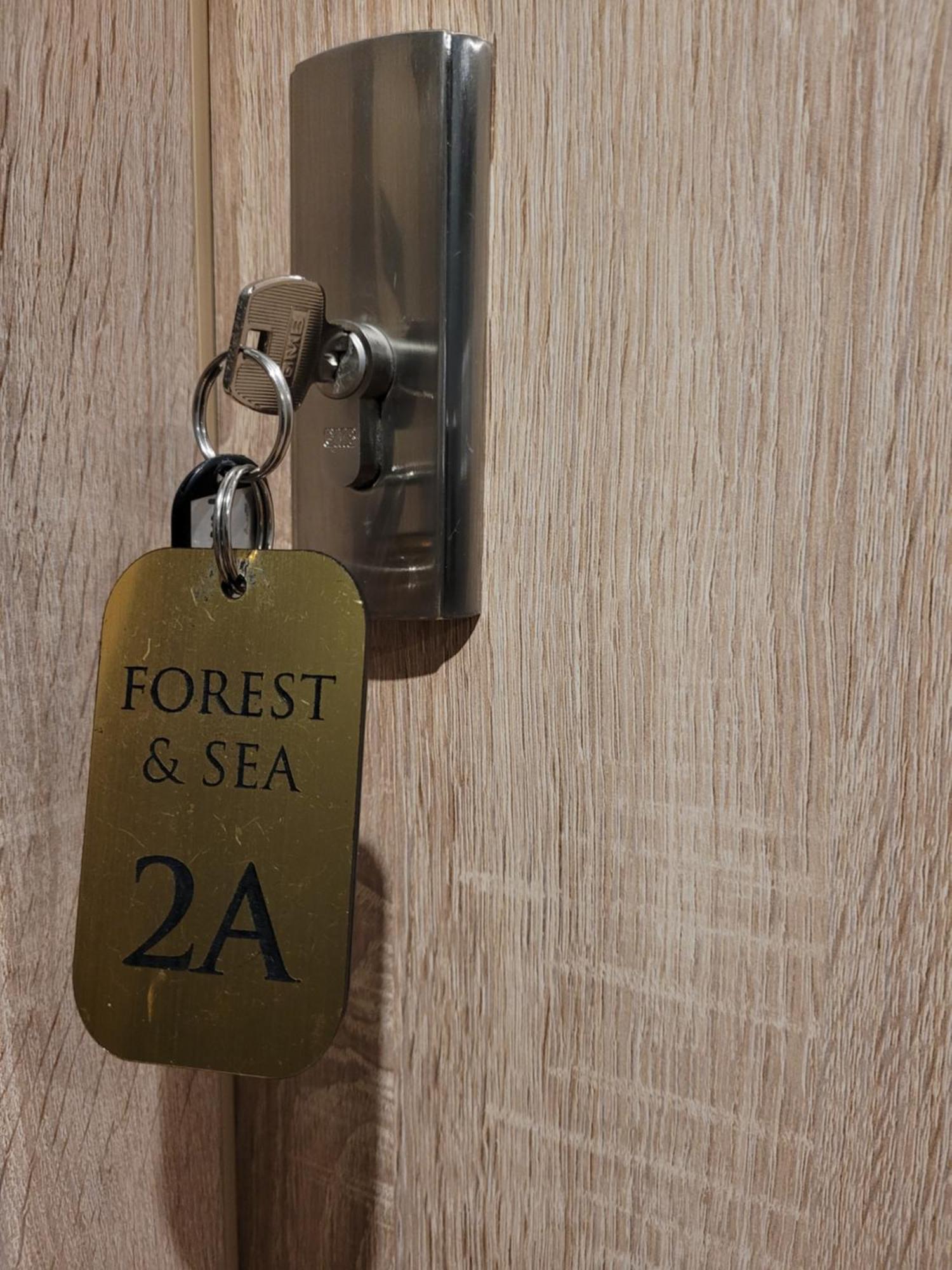 Apartamenty Forest&Sea سفينويتشي الغرفة الصورة